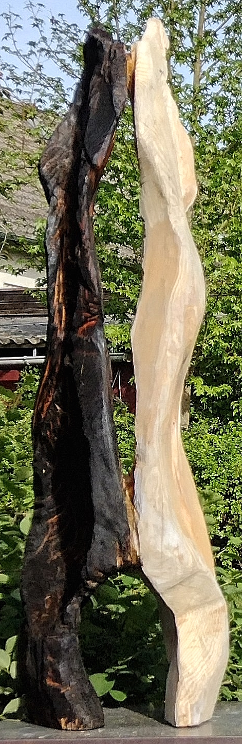 Flügel Black & White